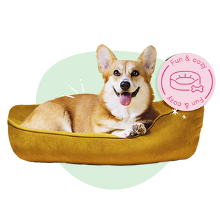 Fun & cozy