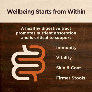 Wellness Dog Core Digestive Health