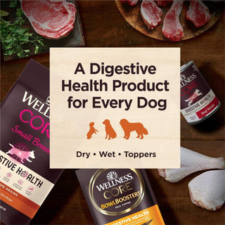 Wellness Dog Core Digestive Health