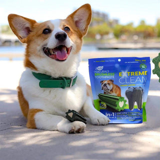 Ark Naturals Dog Brushless Toothpaste