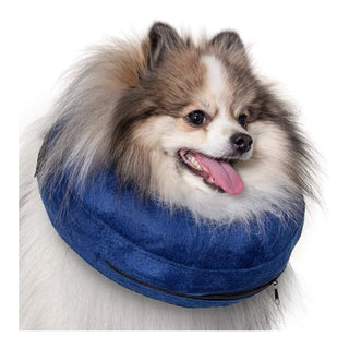 Calm Paws Basic Inflatable Collar